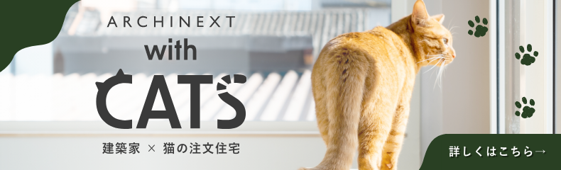 archinext with cats